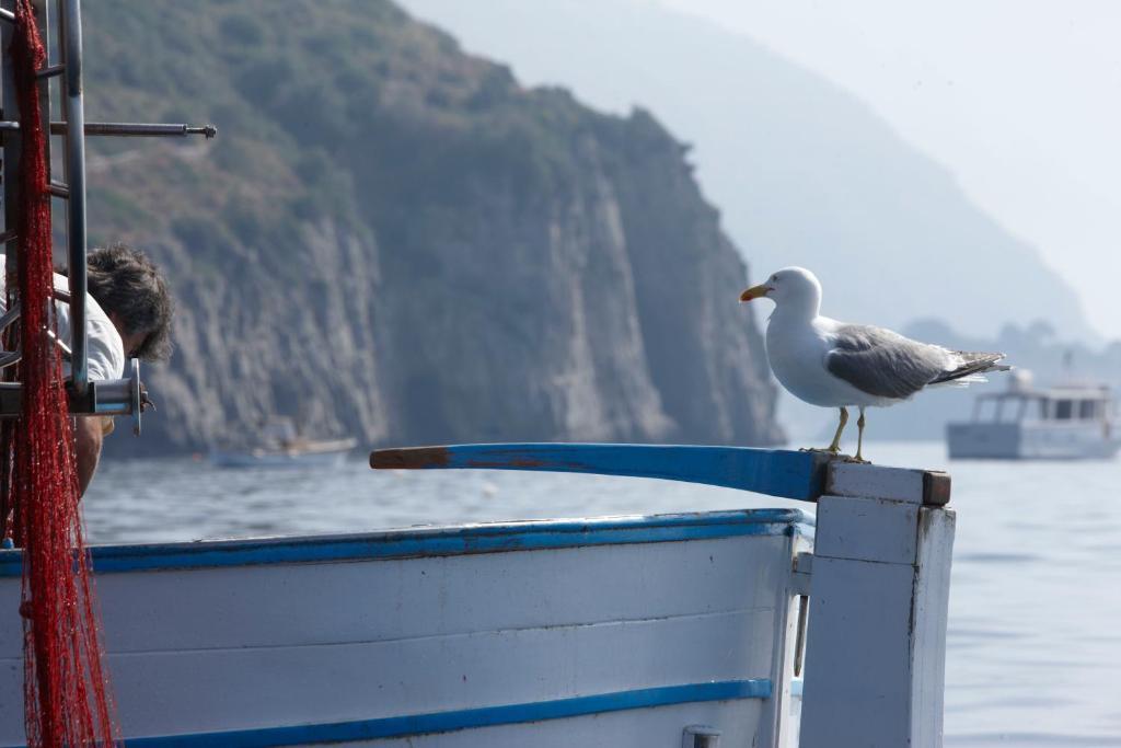 Taverna Del Capitano Marina del Cantone Kültér fotó